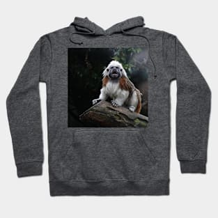 Cotton Top Tamarin Hoodie